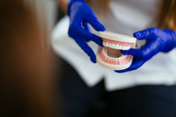 Best Dental Exams and Cleanings  in Phillips, WI