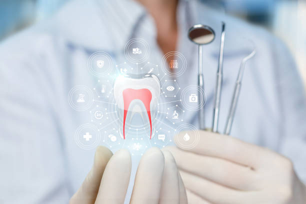 Reliable Phillips, WI Dental Services Solutions